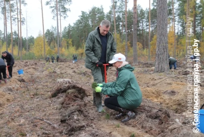 То, что нас объединяет. На Гомельщине республиканскую акцию «Дай лесу новае жыццё» поддержал коллектив Управления делами Президента