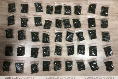 У жителя Мозыря изъяли более килограмма насвая