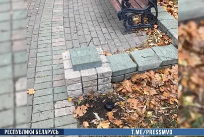 В Гомеле задержали оптового наркокурьера из Бреста