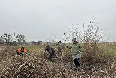 В нацпарке «Припятский» готовят новые места для гнездования куликов