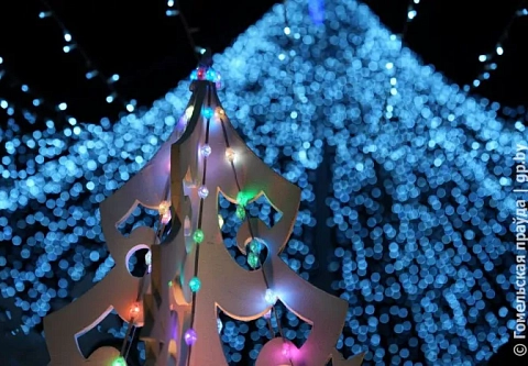 Елочка, гори: общегородская акция «Зажигаем елку вместе!» объединила гомельчан на площади Ленина  