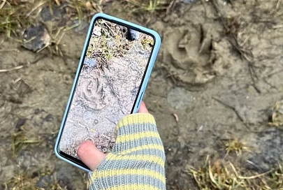 Национальный парк «Припятский» приглашает на фестиваль «Ночь волков» 