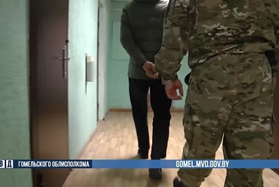 За оскорбление сотрудника Гомельской милиции задержан иностранец