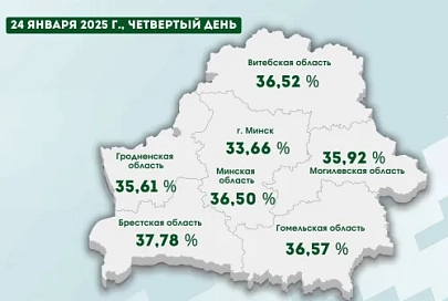 За четыре дня досрочного голосования на выборах Президента Беларуси явка граждан составила 35,99%
