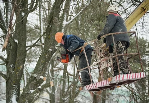 Вместе за чистоту: в областном центре прошел городской субботник