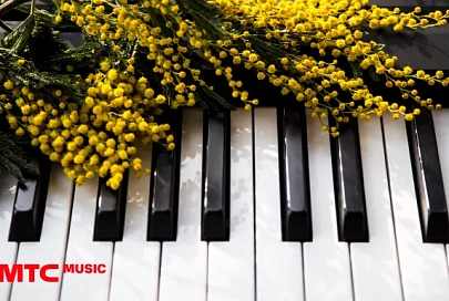 Заряжают теплом: МТС Music представил специальную коллекцию плейлистов для весеннего настроения