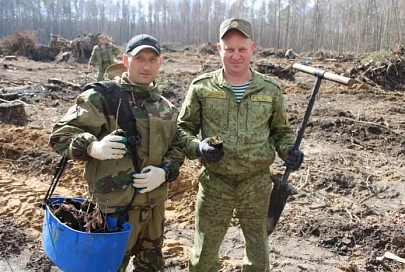 Военнослужащие Гомельской пограничной группы приняли участие в восстановлении леса в Речицком районе