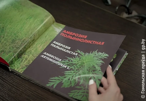 На заседании общественного координационного экологического совета при облкомприроды обсудили наведение порядка на земле и методы борьбы с инвазивными растениями