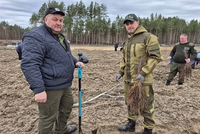 С заботой о главном природном богатстве. Первый заместитель председателя облисполкома Дмитрий Петрожицкий принял участие в посадке леса в Жлобинском районе