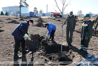 "Идеальная технология!" Лукашенко посадил первое дерево в парке Народного единства