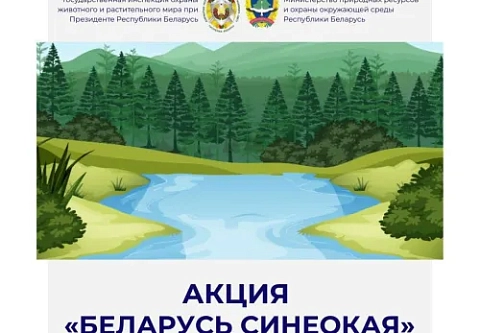 Беларусь синеокая: объявлена общереспубликанская экологическая акция по наведению порядка у водоемов