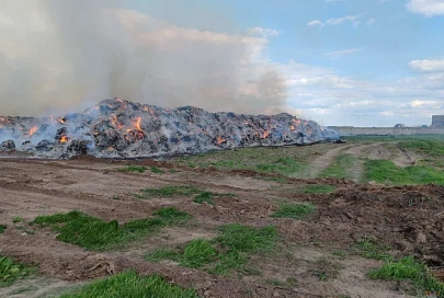 В Буда-Кошелевском районе сгорело 100 тонн льняной тресты