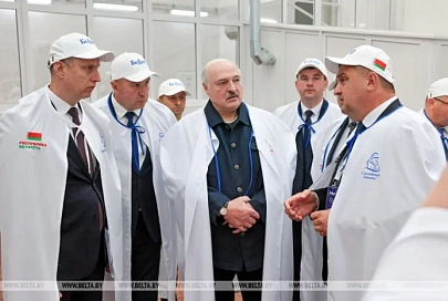 Лукашенко упомянул об избиении в Гродно собаки и заявил о недопустимости издевательств над животными 