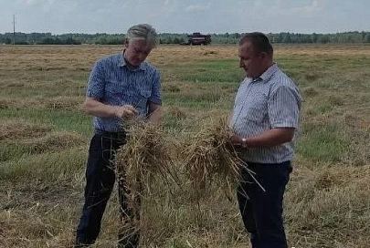 Председатель Ельского райисполкома Виктор Замостик поделился впечатлениями после совещания по вопросам уборочной кампании