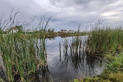 В Речице в озере Щучье утонул мужчина 