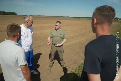 Погода благоволит: Иван Крупко проинспектировал поля хозяйства «Дубрава-Агро» в Светлогорском районе 