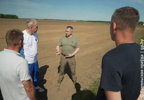 Погода благоволит: Иван Крупко проинспектировал поля хозяйства «Дубрава-Агро» в Светлогорском районе 
