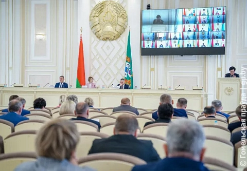 Только автолавками не обойдемся: на заседании областного Совета депутатов в Гомеле обсудили состояние торгового обслуживания на селе