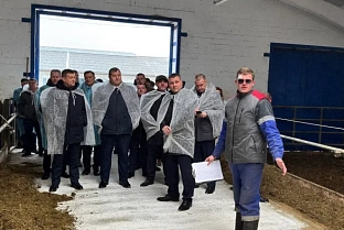 Конструктивно о главном. В Ветковском районе прошло выездное совещание облисполкома по итогам работы животноводческой отрасли в январе-октябре