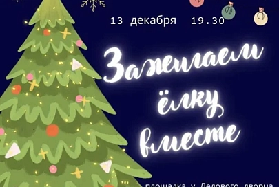 Районы Гомеля приглашают на акцию «Зажигаем ёлку вместе»