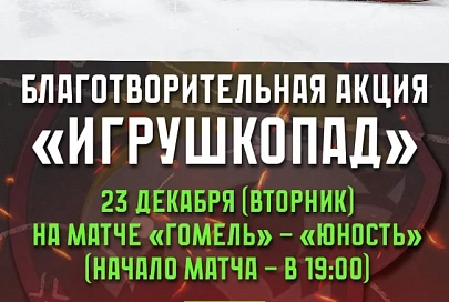 23 декабря на домашнем матче «Гомеля» пройдет благотворительная акция «Игрушкопад»