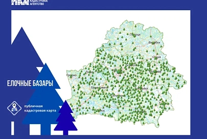 Елочные базары появились на публичной кадастровой карте Беларуси 