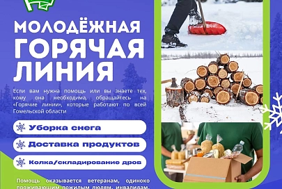 Уборка снега, колка дров, доставка продуктов: в БРСМ работают горячие линии для одиноко проживающих пожилых людей