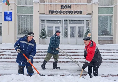 Расчистим сугробы вместе! Профсоюзы Гомельщины вооружились лопатами против снежной непогоды, проявили единство и солидарность