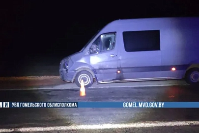 Пешеход погиб под колесами авто в Калинковичском районе