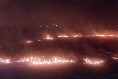 23 возгорания в природных экосистемах зафиксировано в Гомельской области
