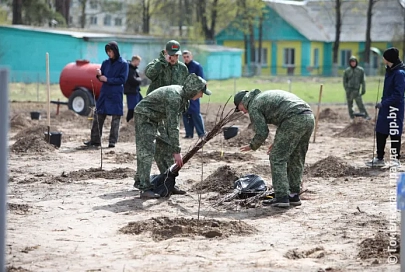 На сладкую память: в Буда-Кошелевском аграрно-техническом колледже заложили яблоневый сад в честь женщин-педагогов
