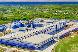Экспорт Добрушской картонной фабрики в 2025 году превысил 110 миллионов долларов