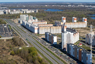 В Гомеле после нападений бездомных собак пострадали дети, а в интернете поднялся хейт против их родителей и журналистов