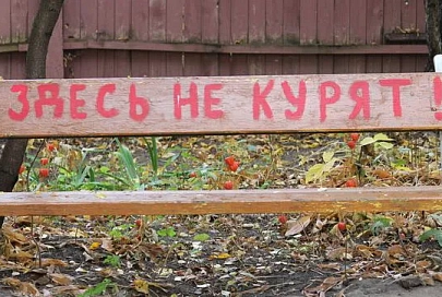 Гомель, в котором мы: городские цветы осенью