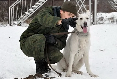 Гомельчанин Виталий Муженко уже полтора года проводит курсы по дрессировке собак и мечтает построить вольеры для содержания брошенных животных