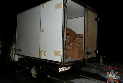 На трассе Е95 огонь повредил автомобиль «ГАЗ 3302»