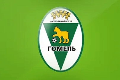 ФК «Гомель» проиграл в товарищеском матче могилевскому «Днепру» — 0:3