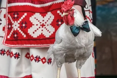 Масленица в Гомеле