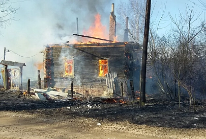 В марте на Гомельщине ликвидировано более 350 пожаров сухой растительности