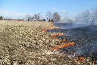  В Буда-Кошелёвском районе двое сельчан взялись тушить травяной пожар