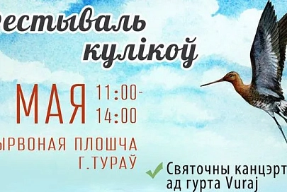 1 мая в Турове пройдет фестиваль куликов