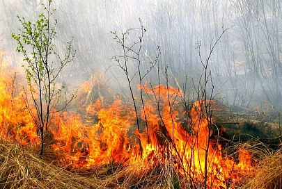 За сутки спасатели погасили шесть возгораний в экосистемах региона