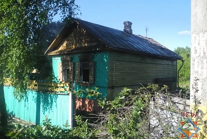 В Гомеле на пожаре в частном доме погиб сын хозяйки