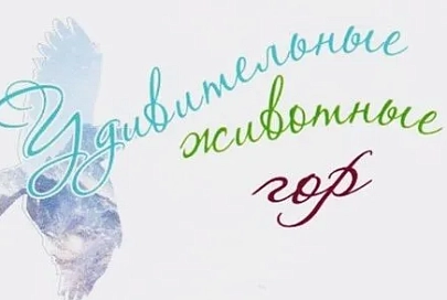 Творческая встреча с руководителем детского музыкального театра «Цветочки» Аллой Наумовой пройдет 26 мая в Гомеле