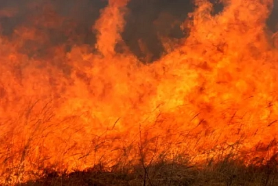 На выходных в регионе погасили восемь пожаров в экосистемах