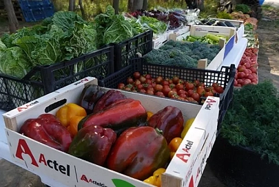 Путин запретил производство ГМО-продукции в России