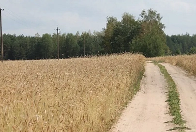 Недавно коллектив государственного предприятия «Копаткевичская ПМК-67», которое возглавляет Василий Каледа, отметил свое 55-летие