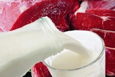 Экспорт мяса и молока превысил 1 миллиард долларов