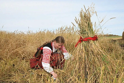 Областные дожинки пройдут в Рогачеве