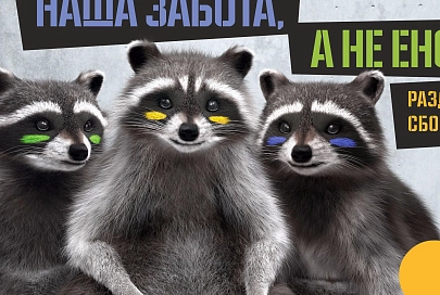Еноты-барабанщики, сортирующие мусор, появятся и в новых видеороликах
